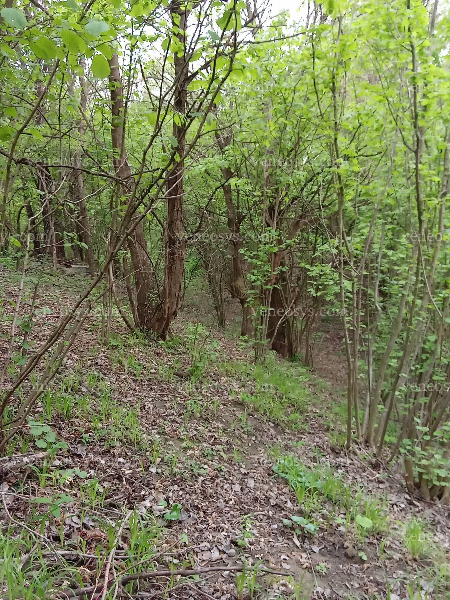Kép 7