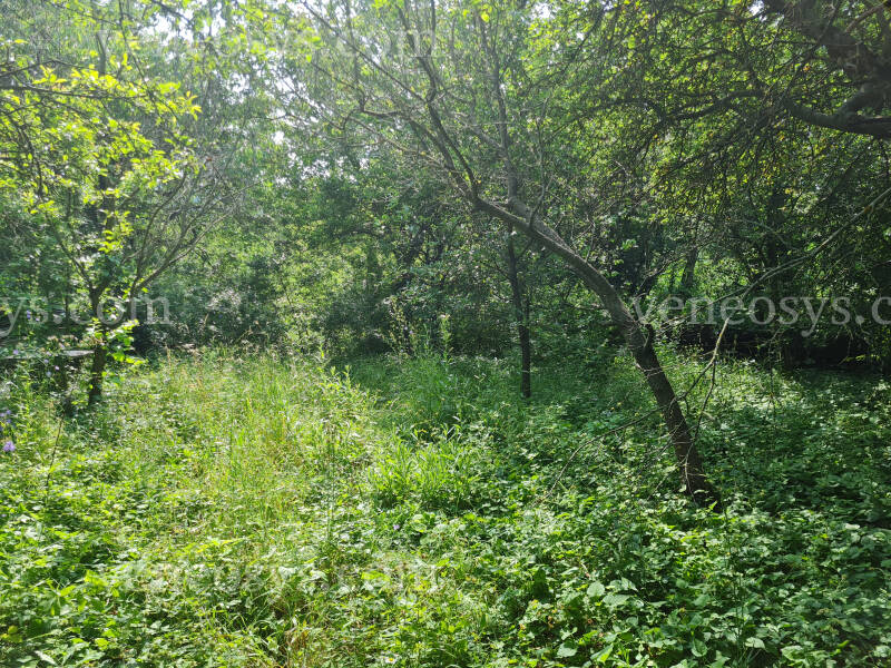 Kép 6