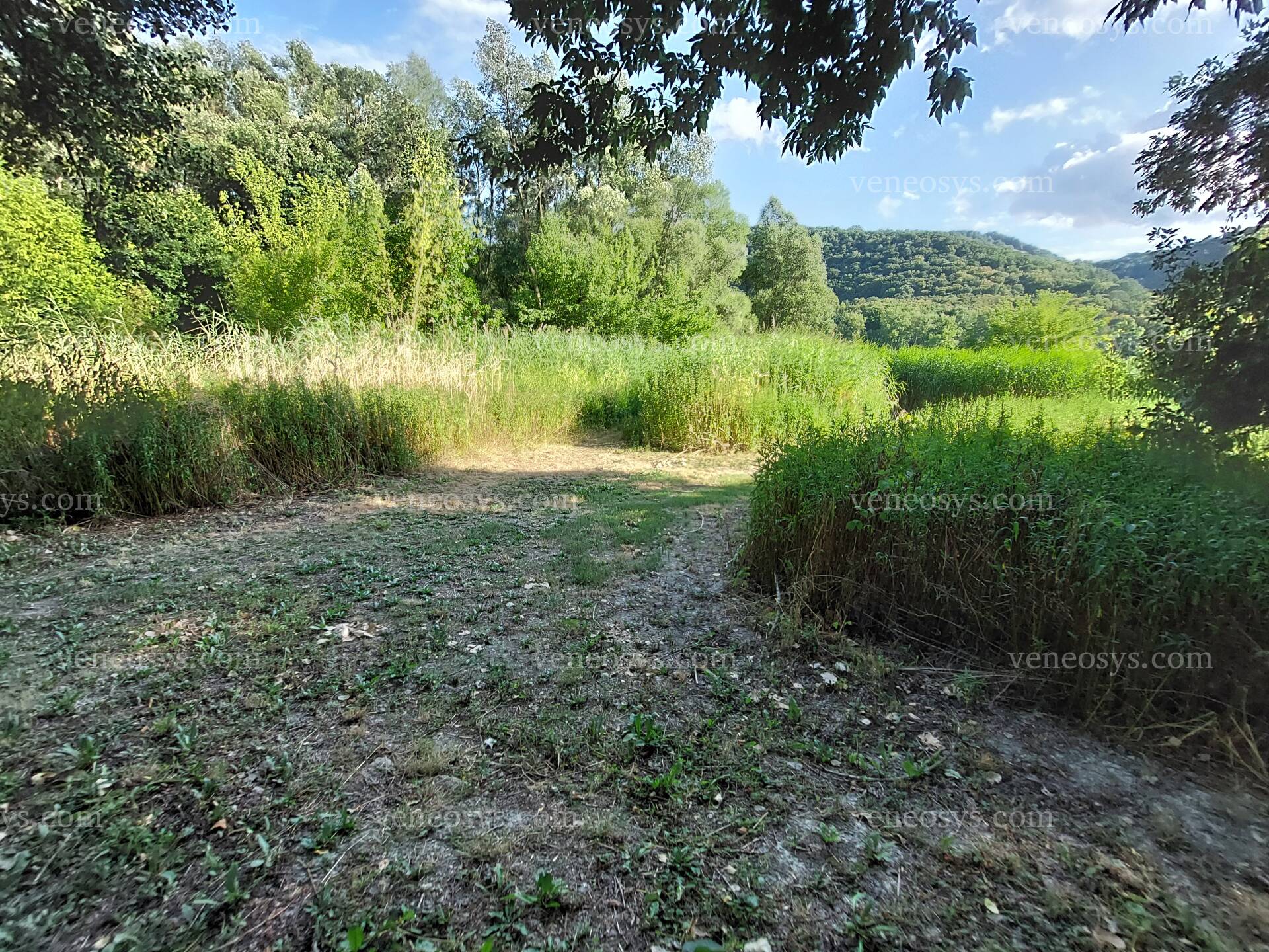 Kép 25