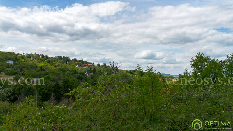 Kép 2