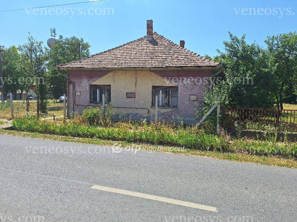Kép 21
