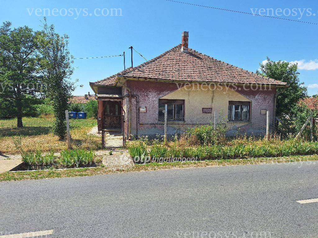 Kép 15