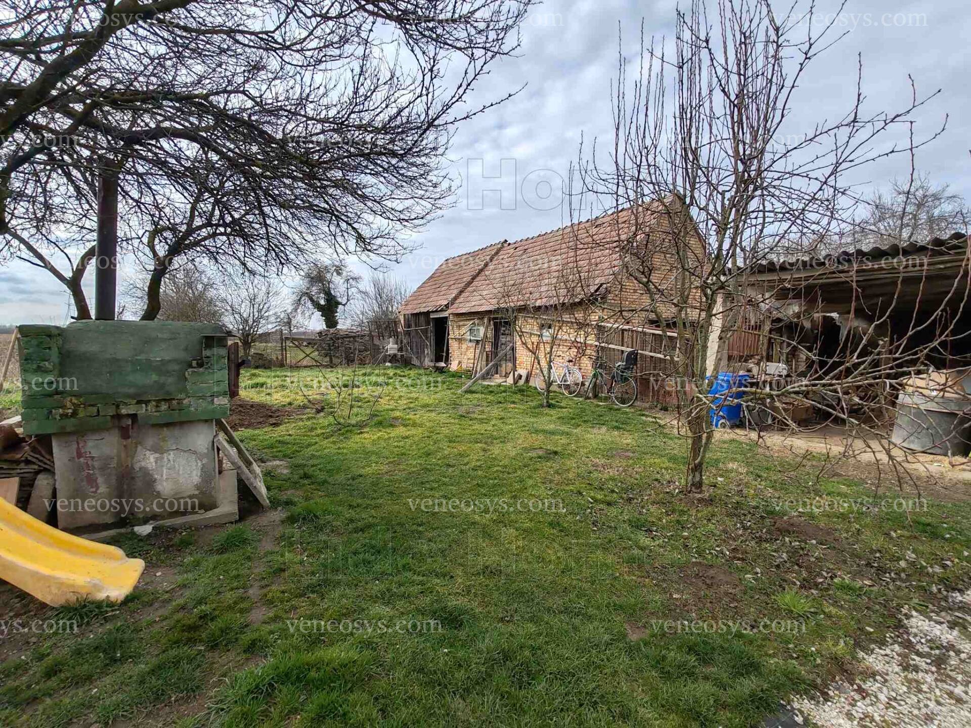 Kép 9
