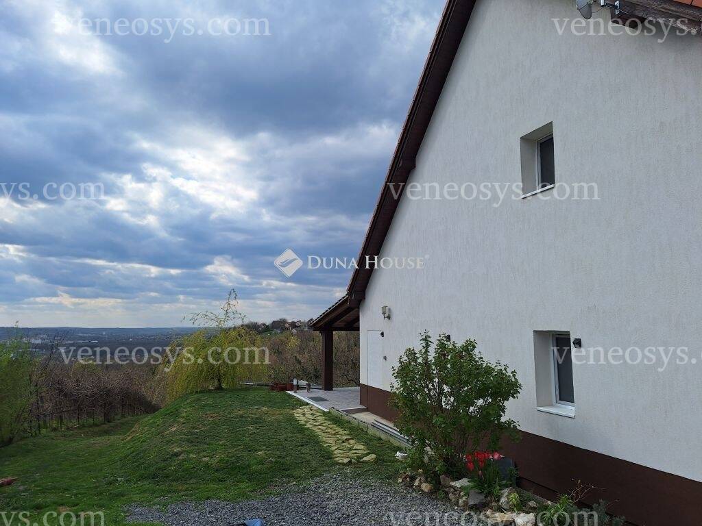 Kép 17