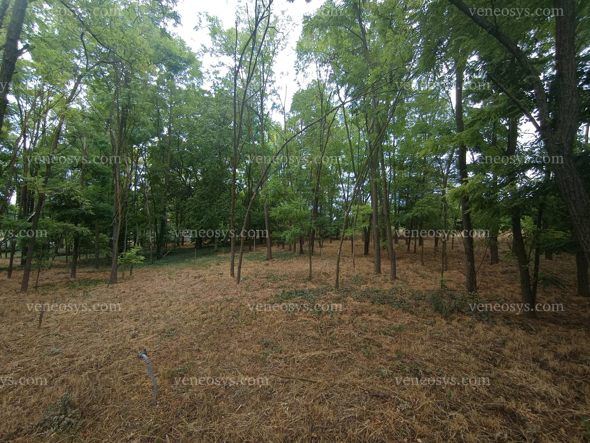 Kép 11