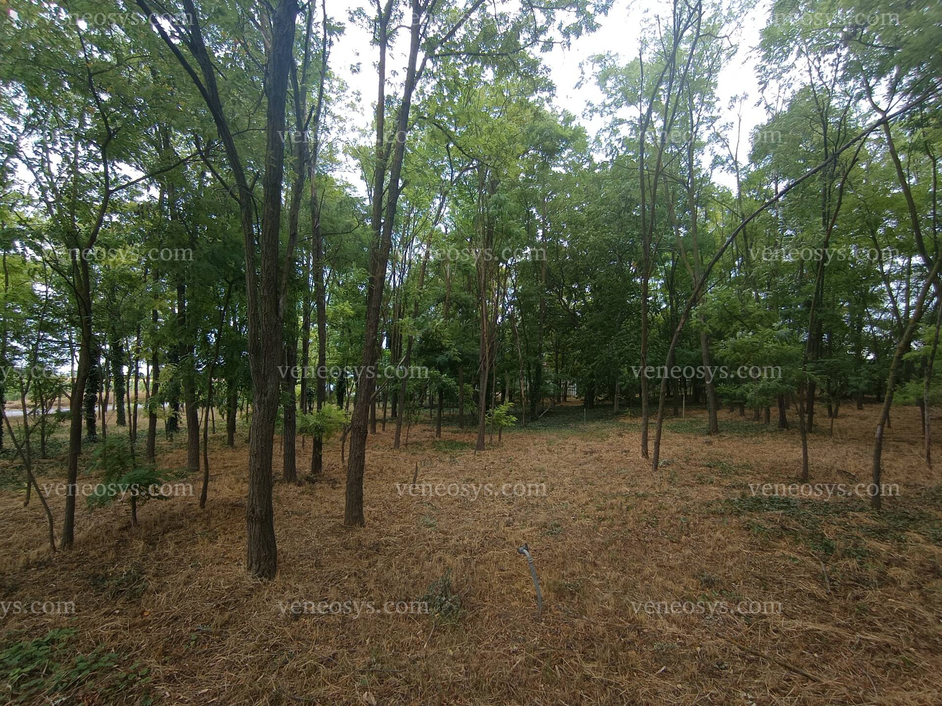 Kép 10