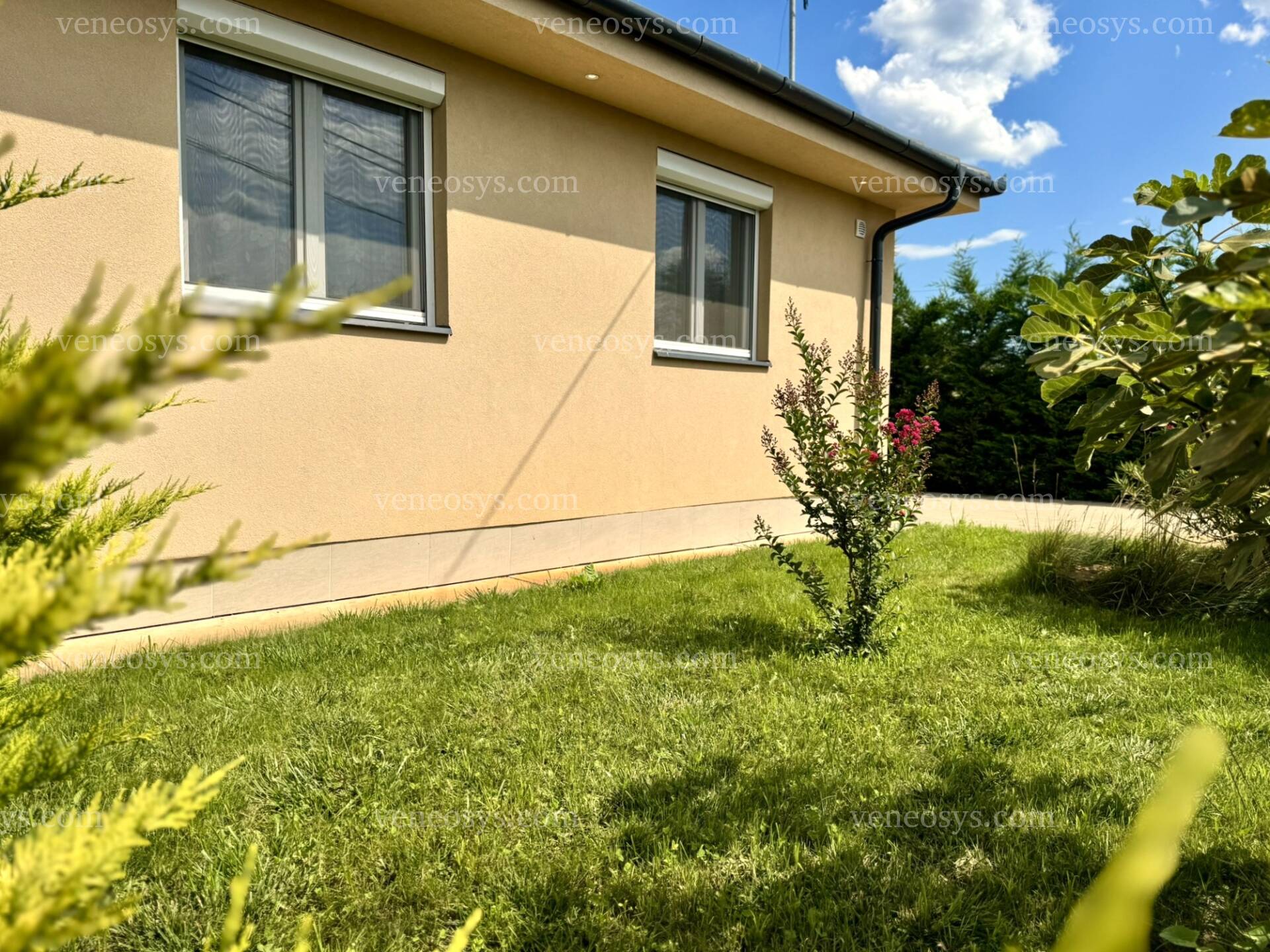 Kép 29