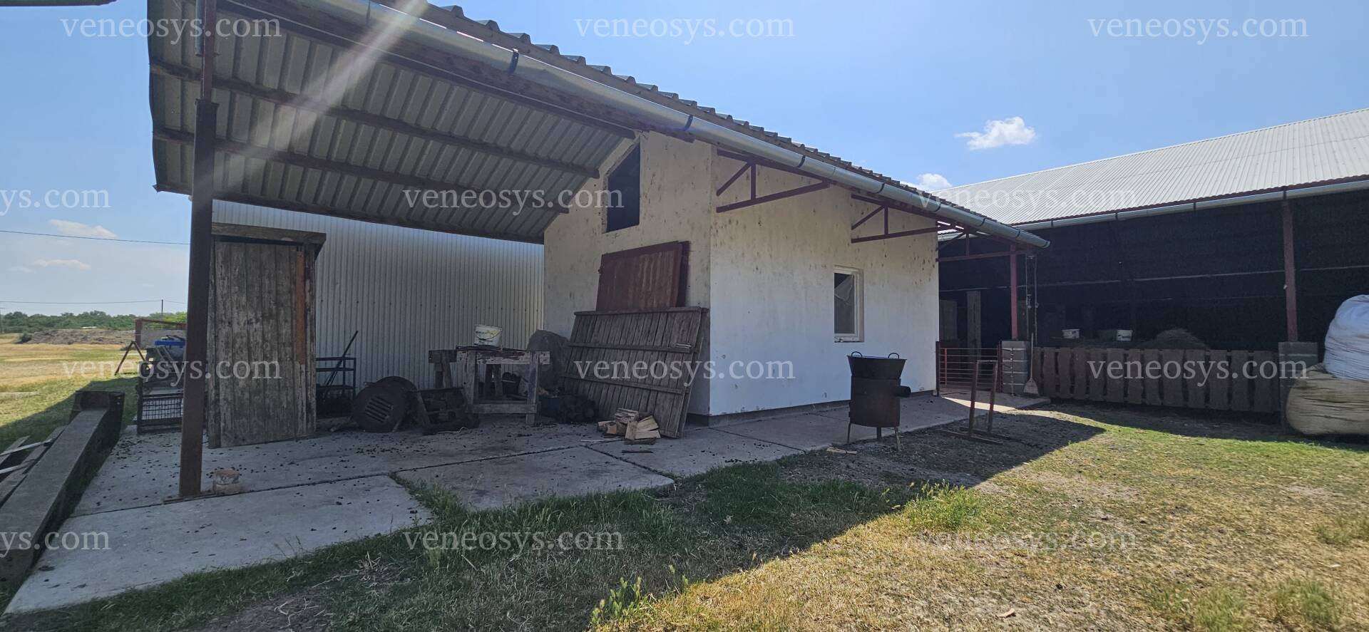 Kép 15