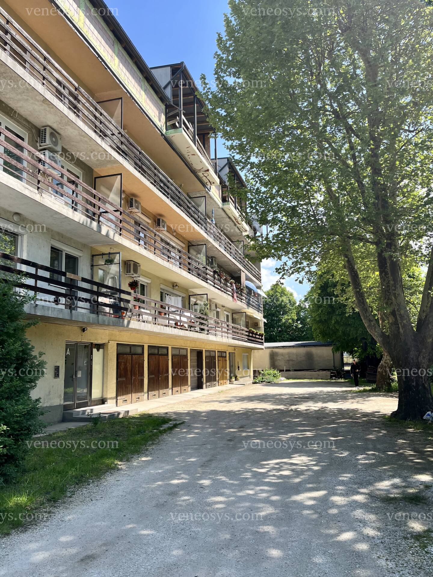 Kép 10