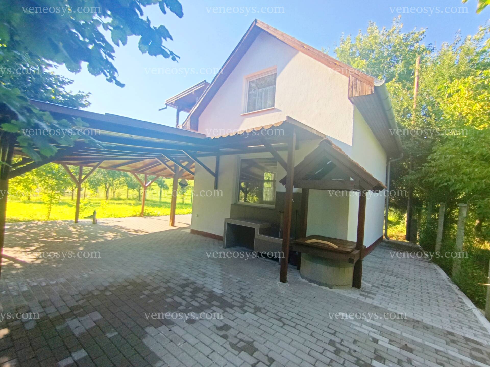 Kép 5
