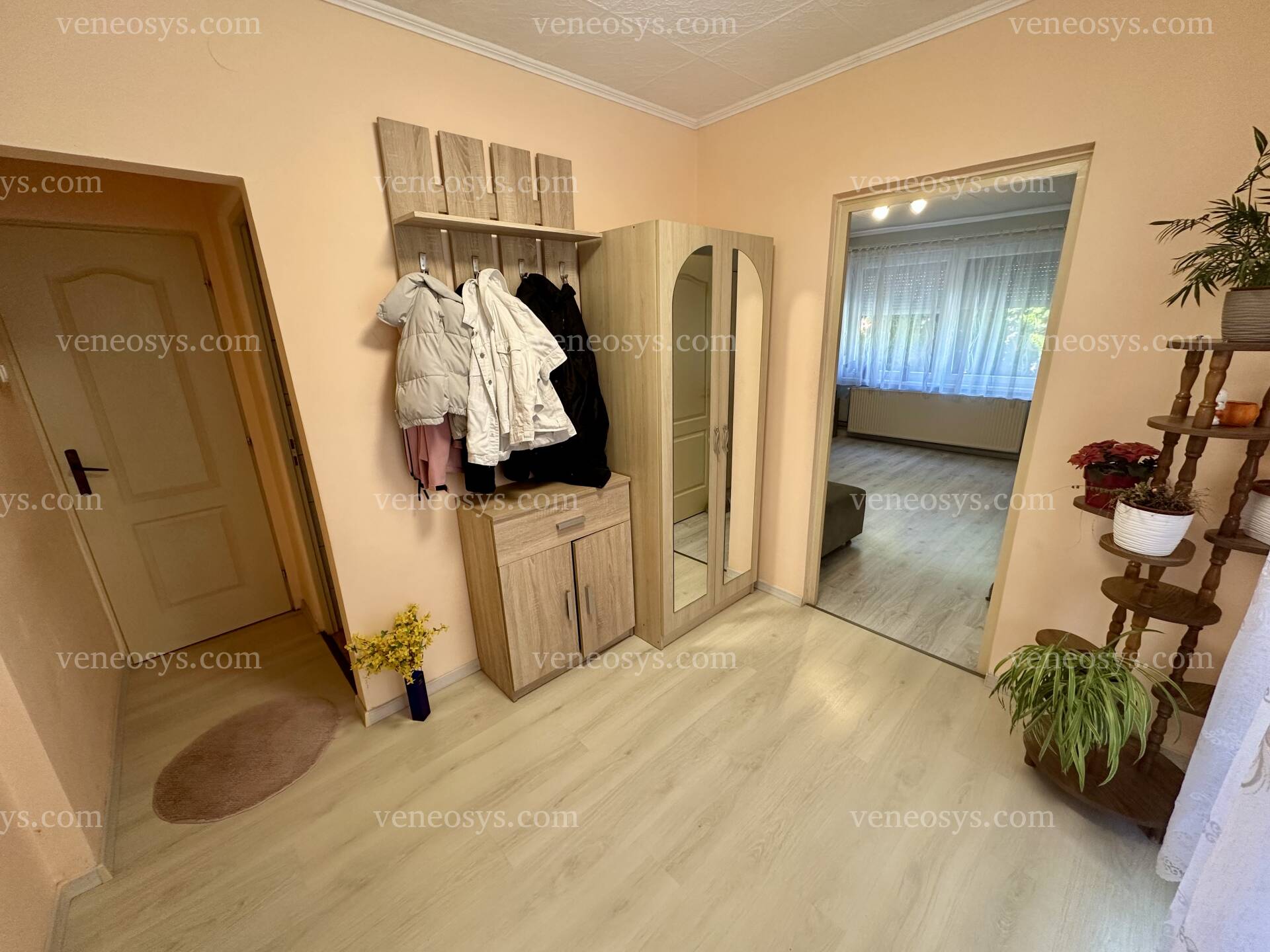 Kép 5