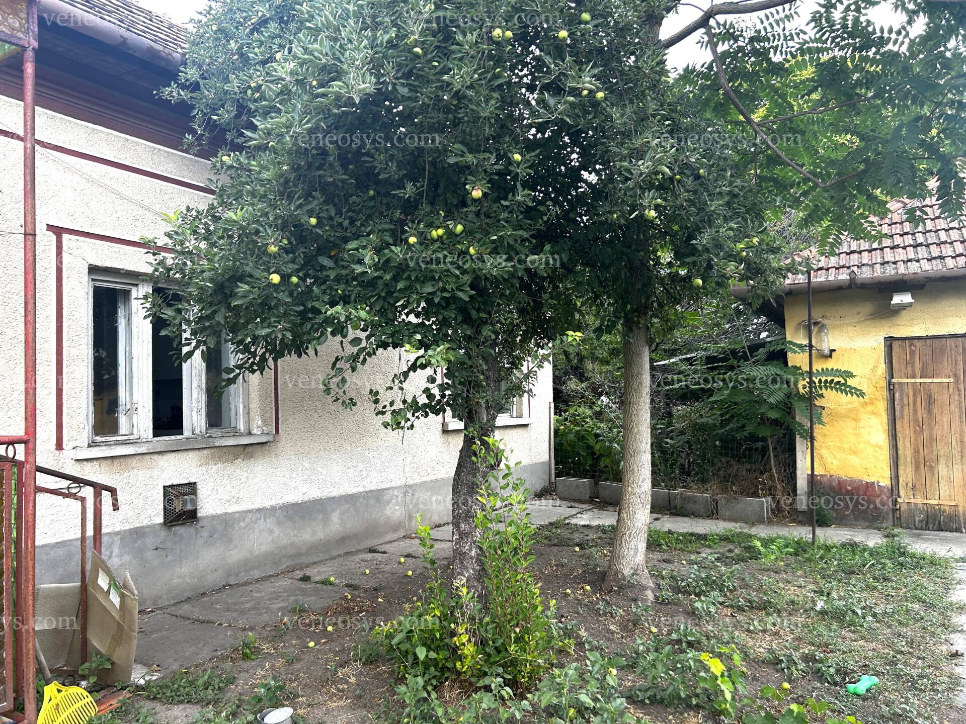 Kép 6