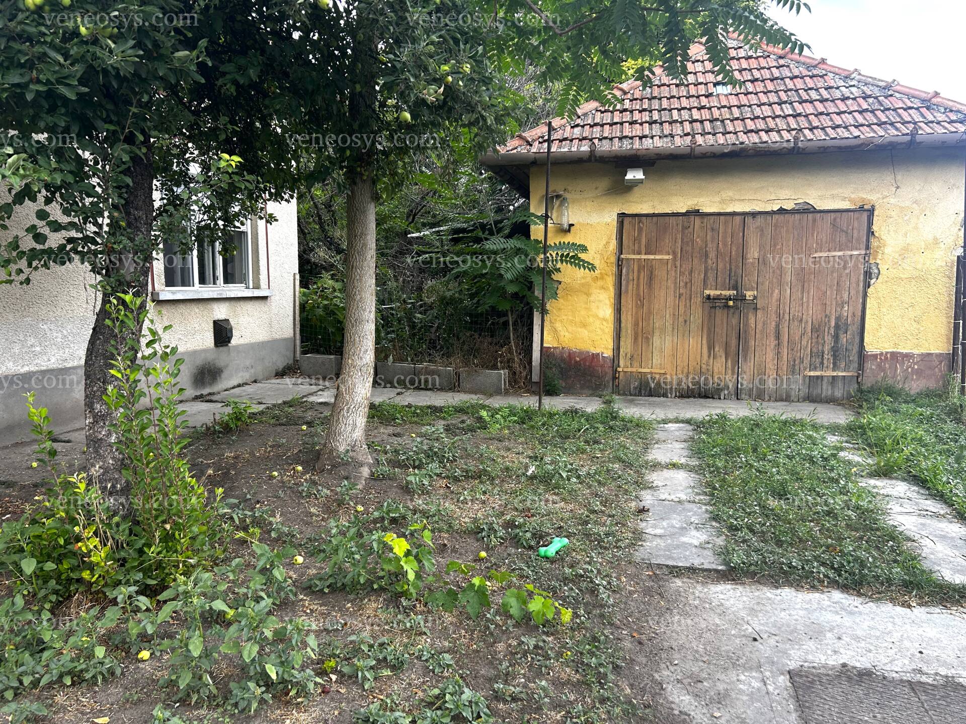 Kép 5