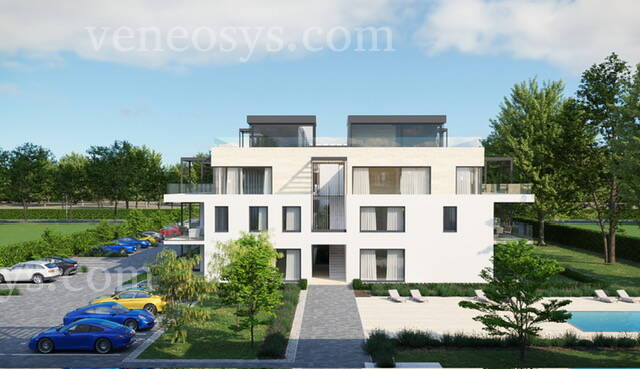 Kép 5