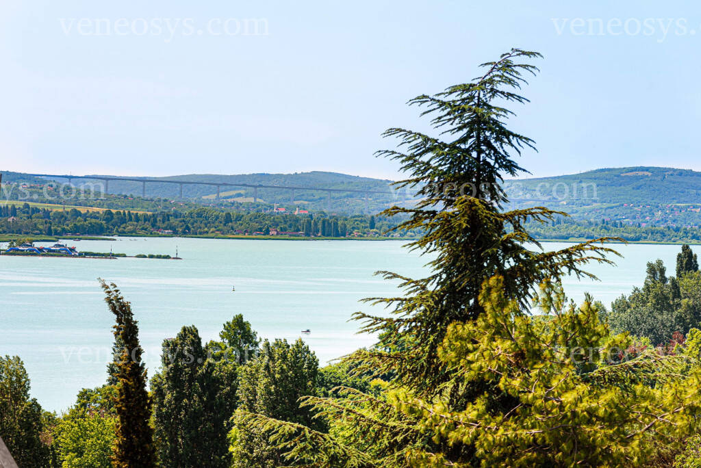 Kép 6