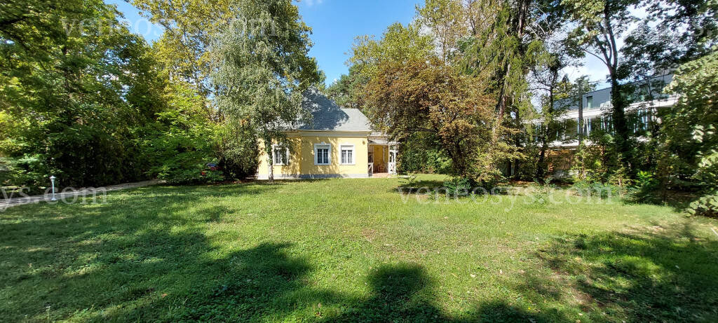 Kép 15
