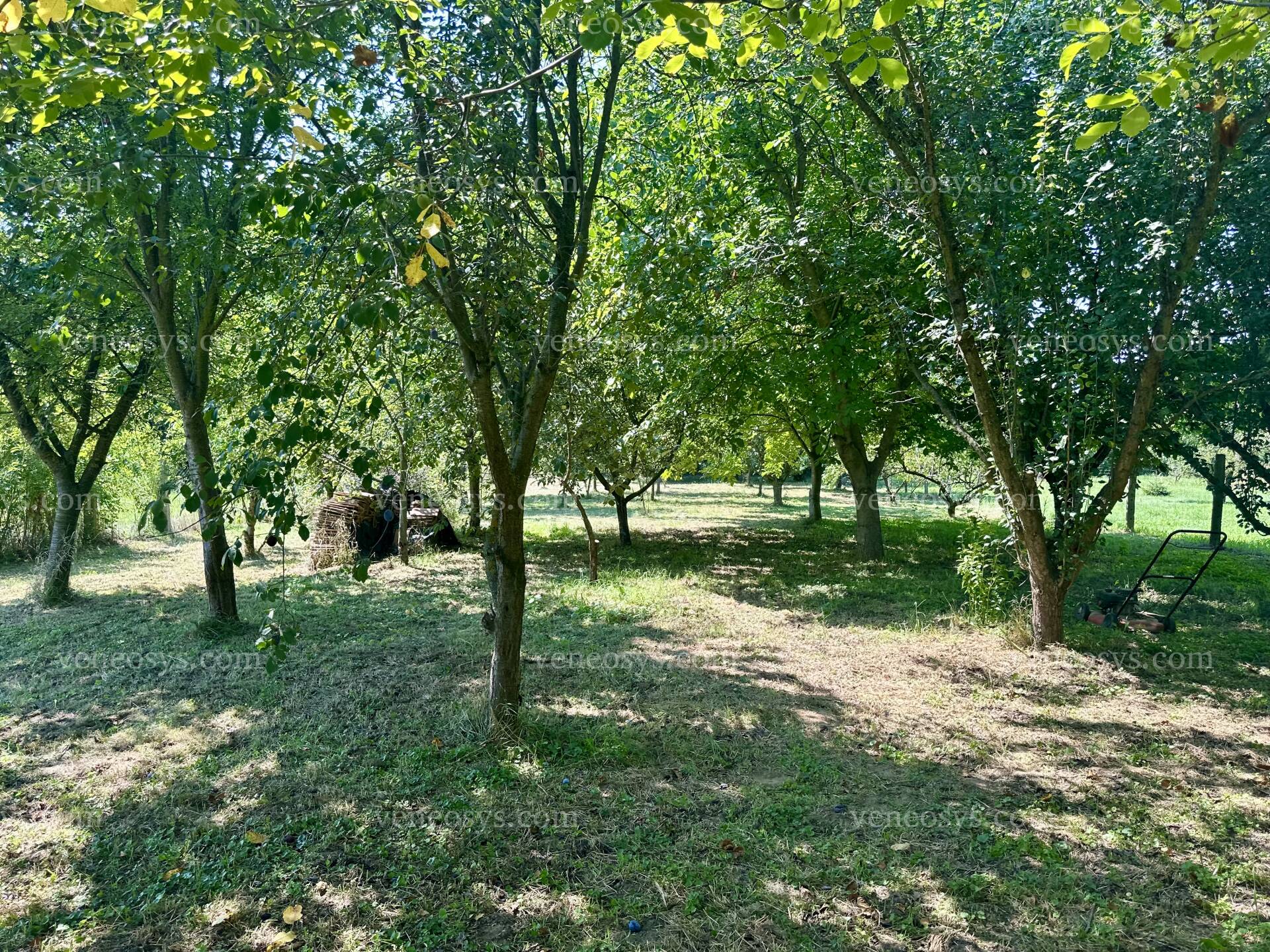 Kép 4