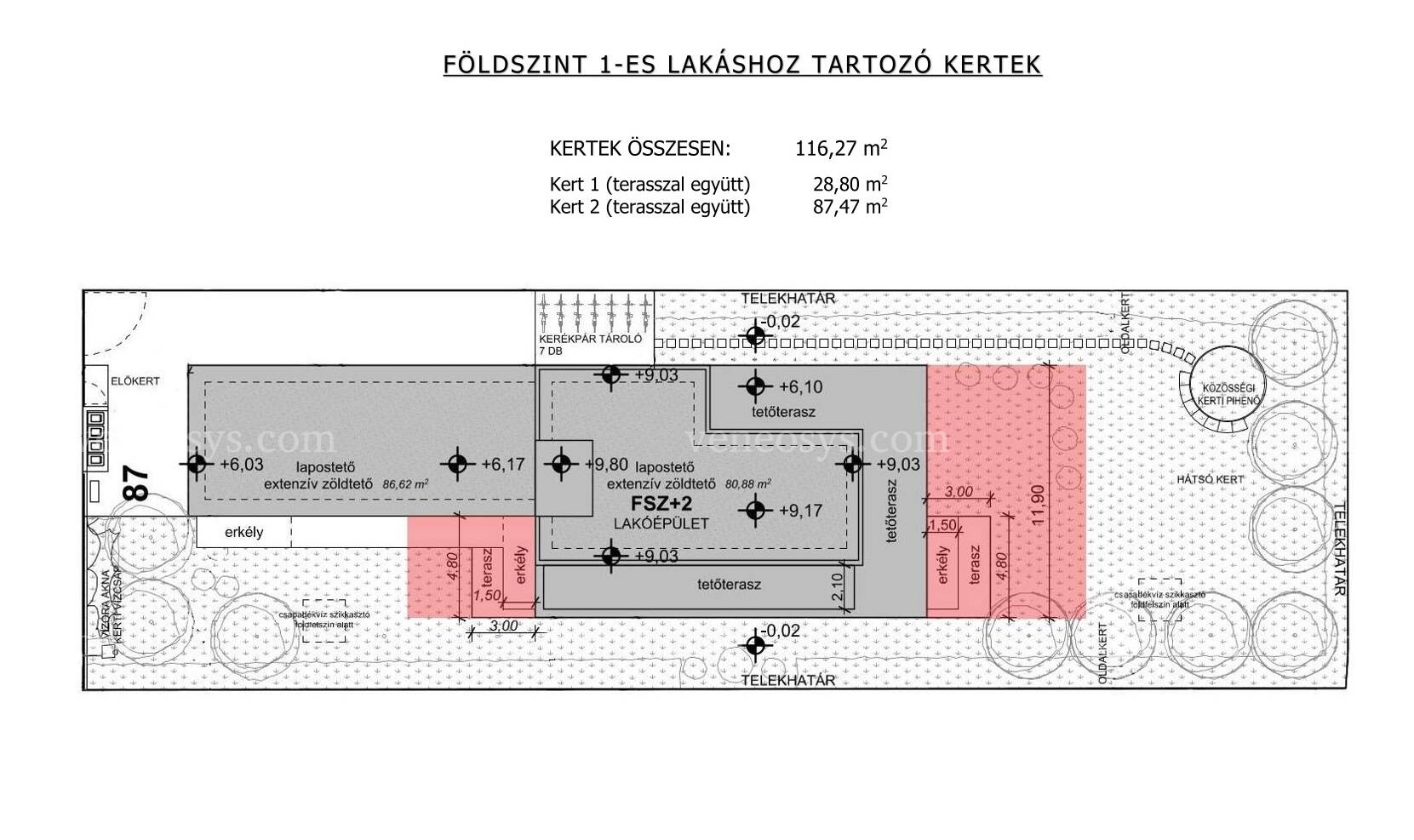Kép 5