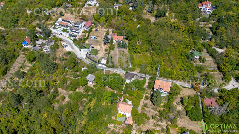Kép 6