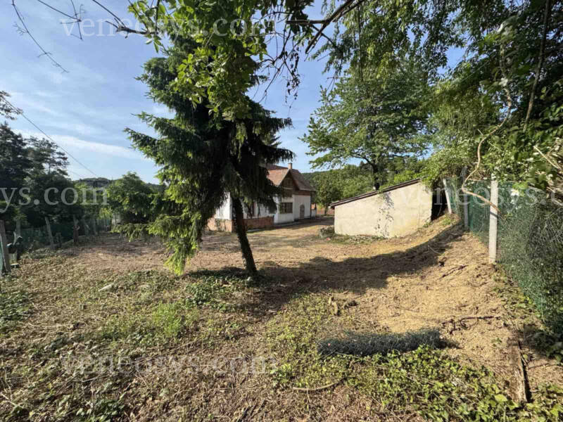 Kép 9