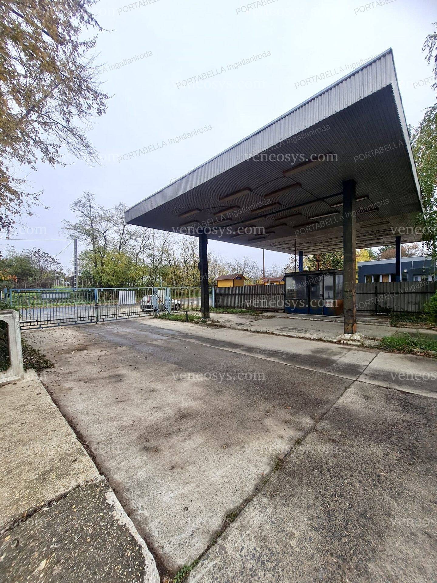 Kép 6