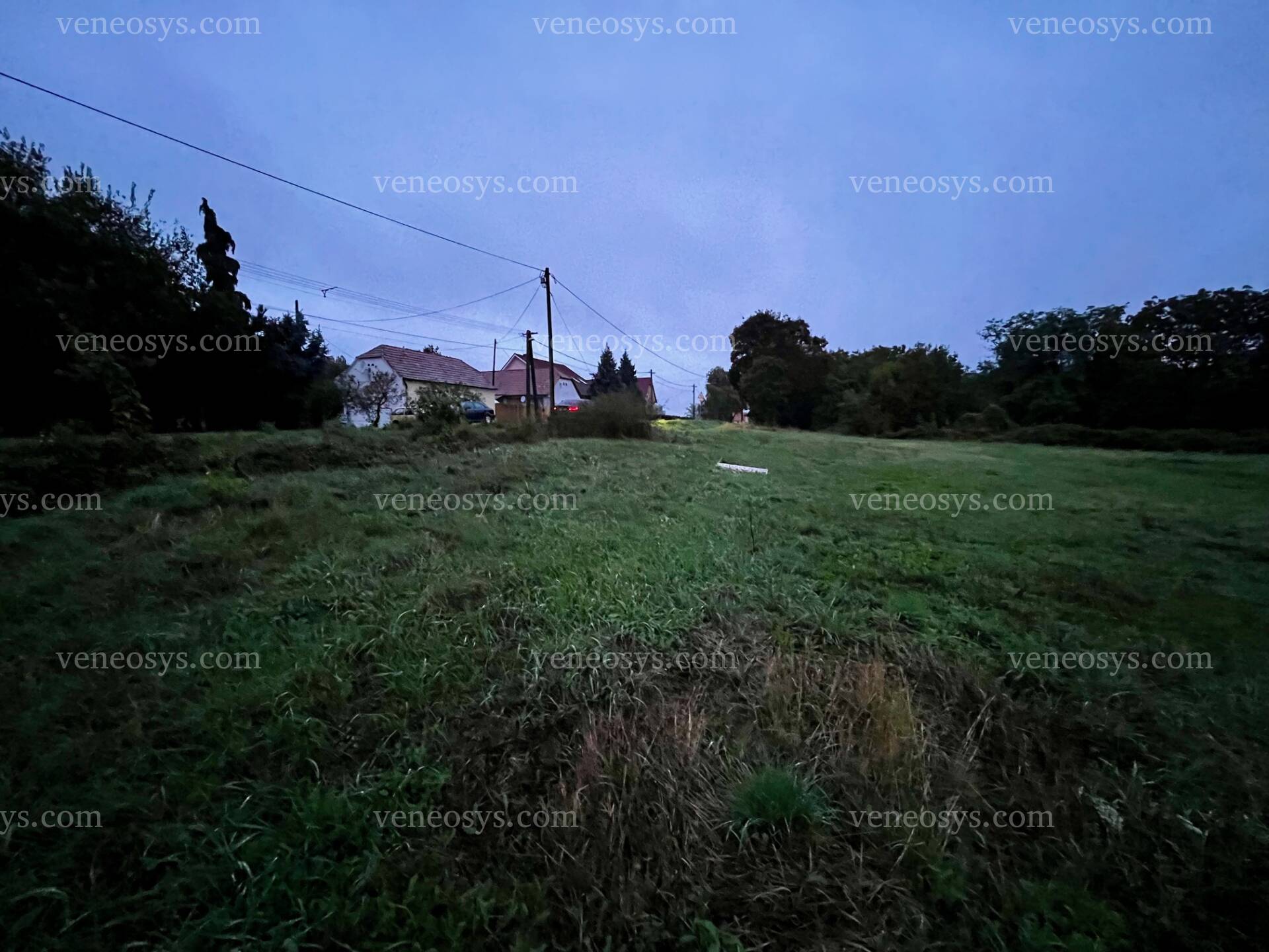 Kép 4