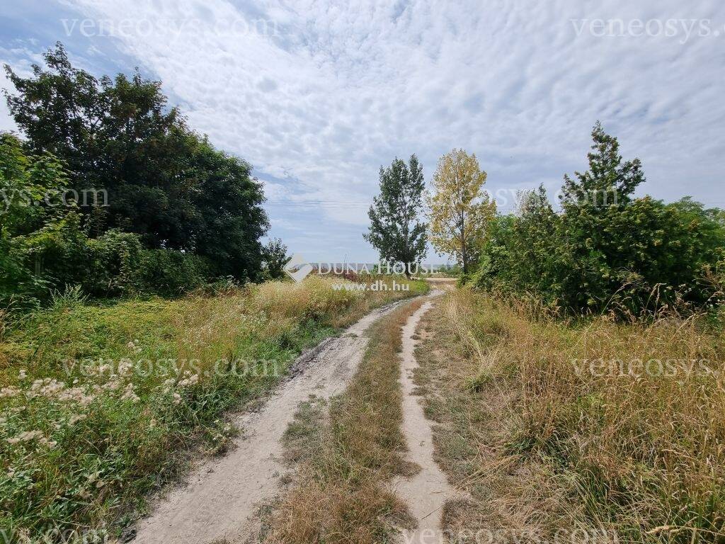 Kép 8
