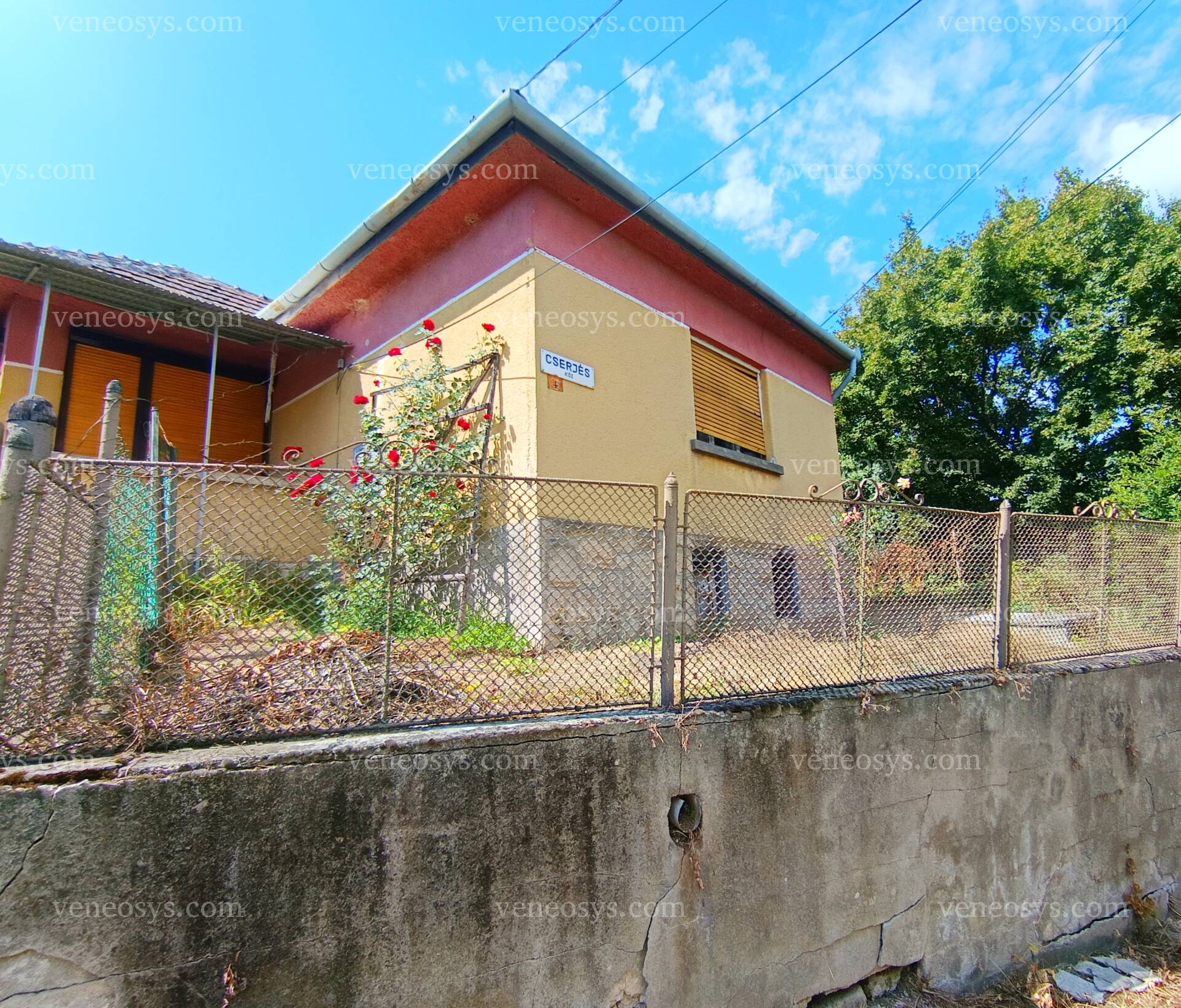 Kép 5