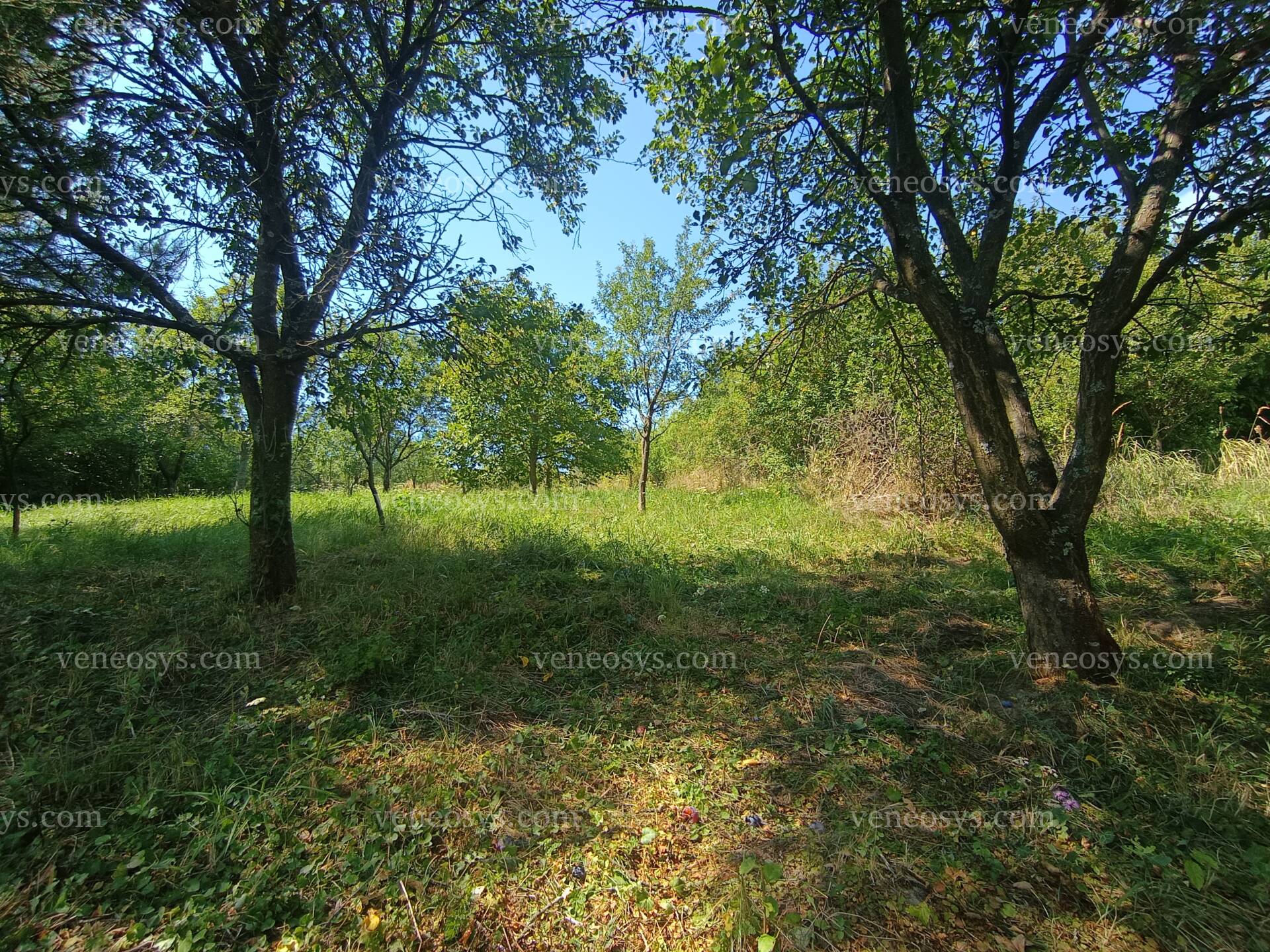 Kép 9