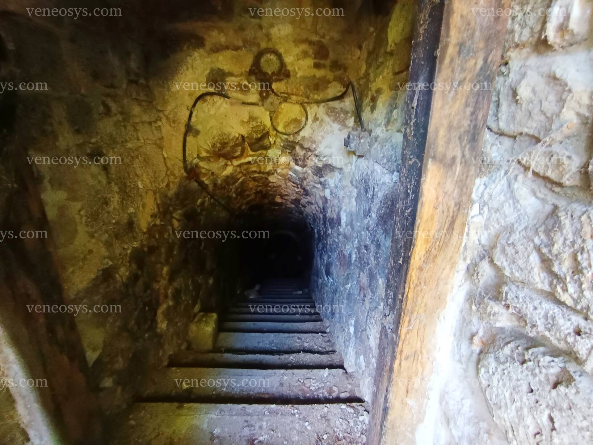 Kép 13