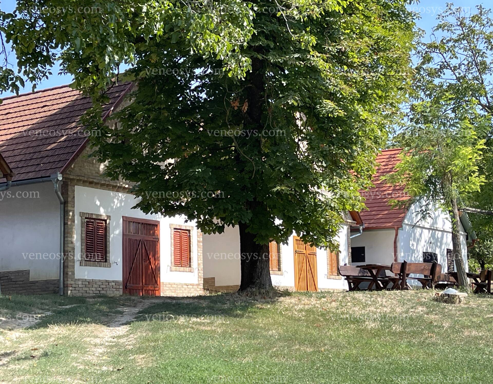 Kép 41