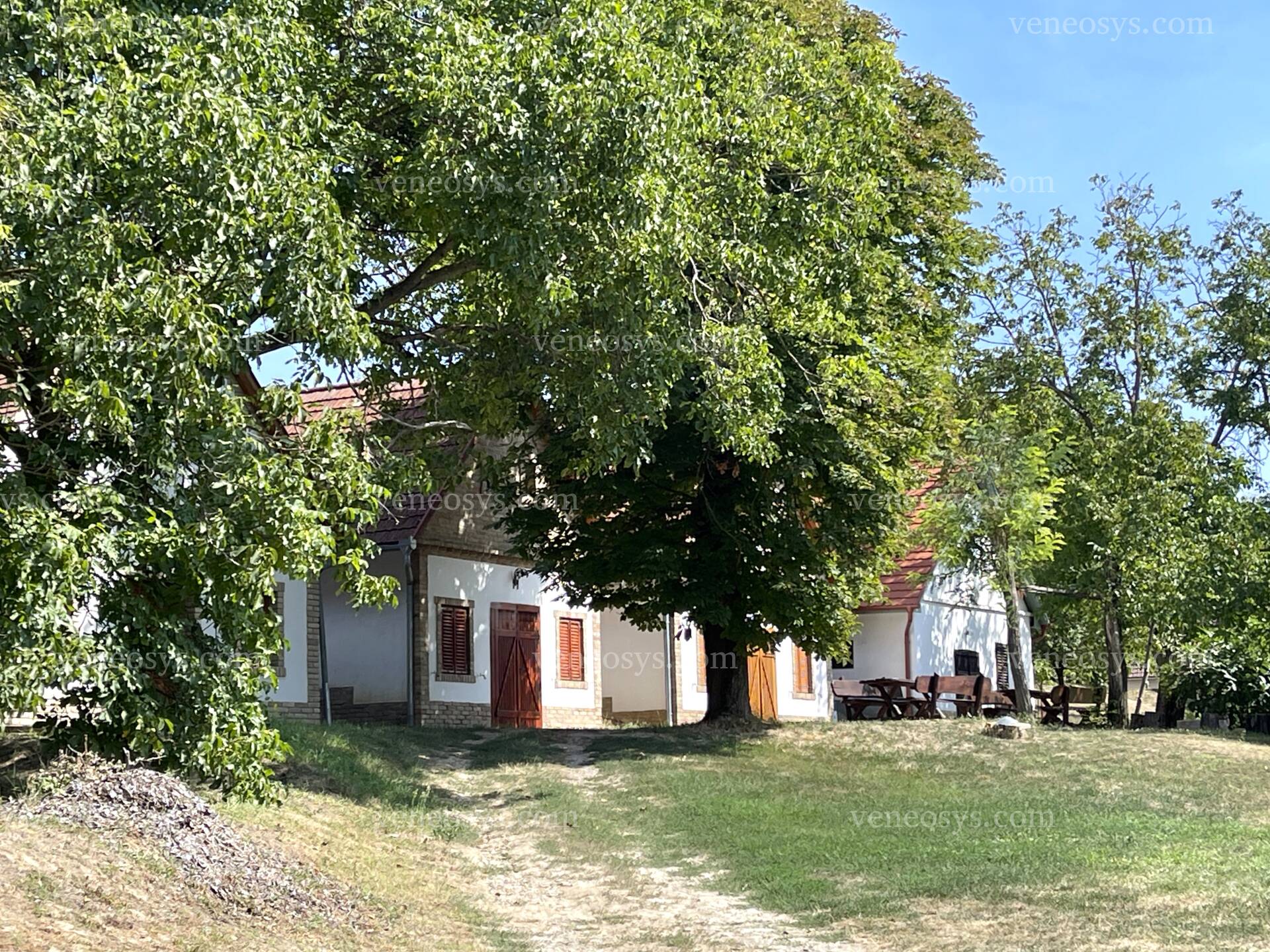 Kép 39