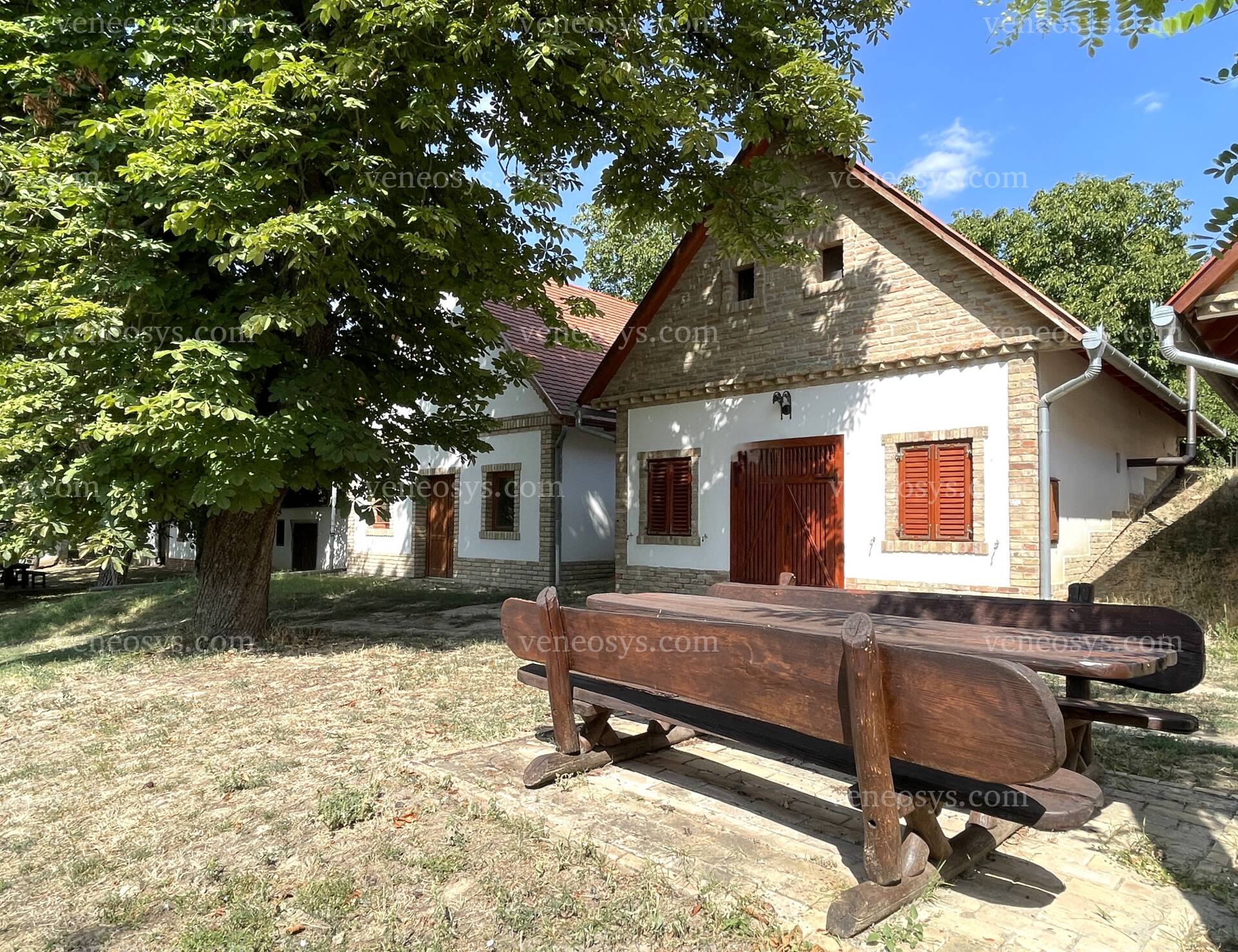 Kép 4