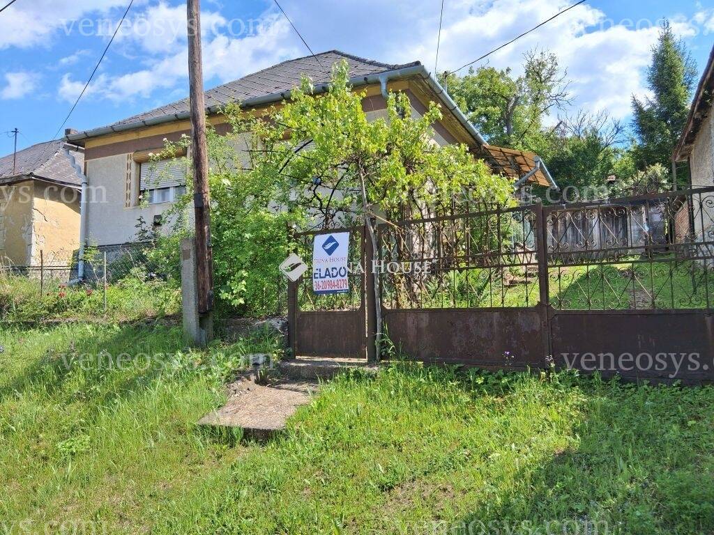 Kép 5