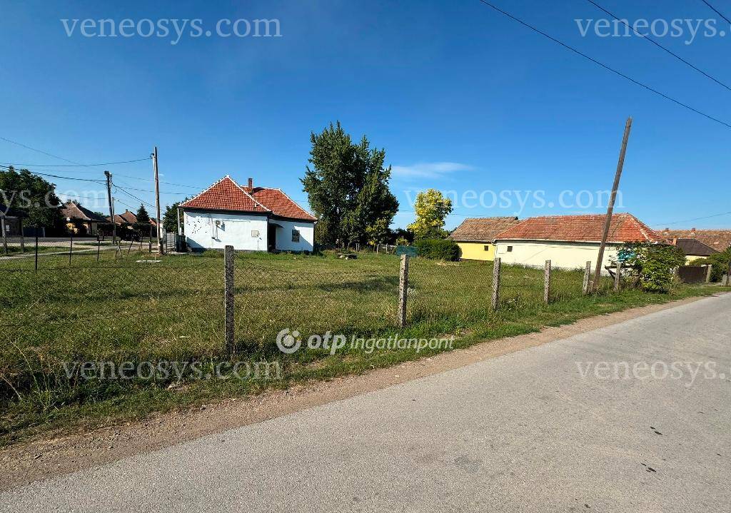 Kép 5