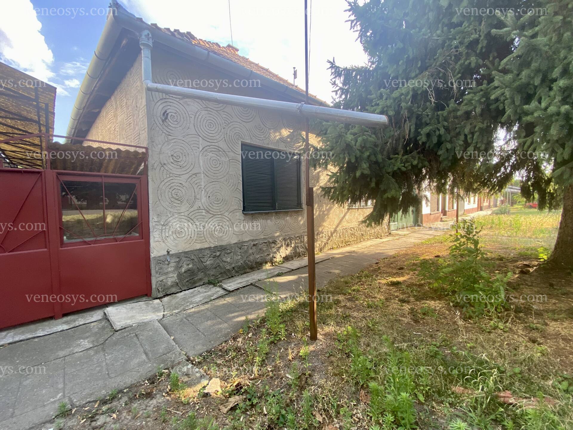 Kép 24