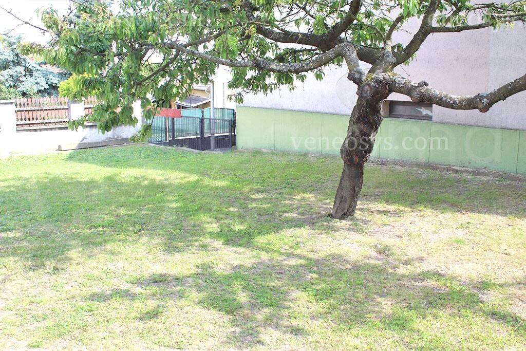 Kép 13