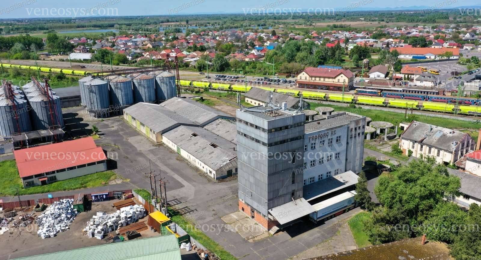 Kép 7