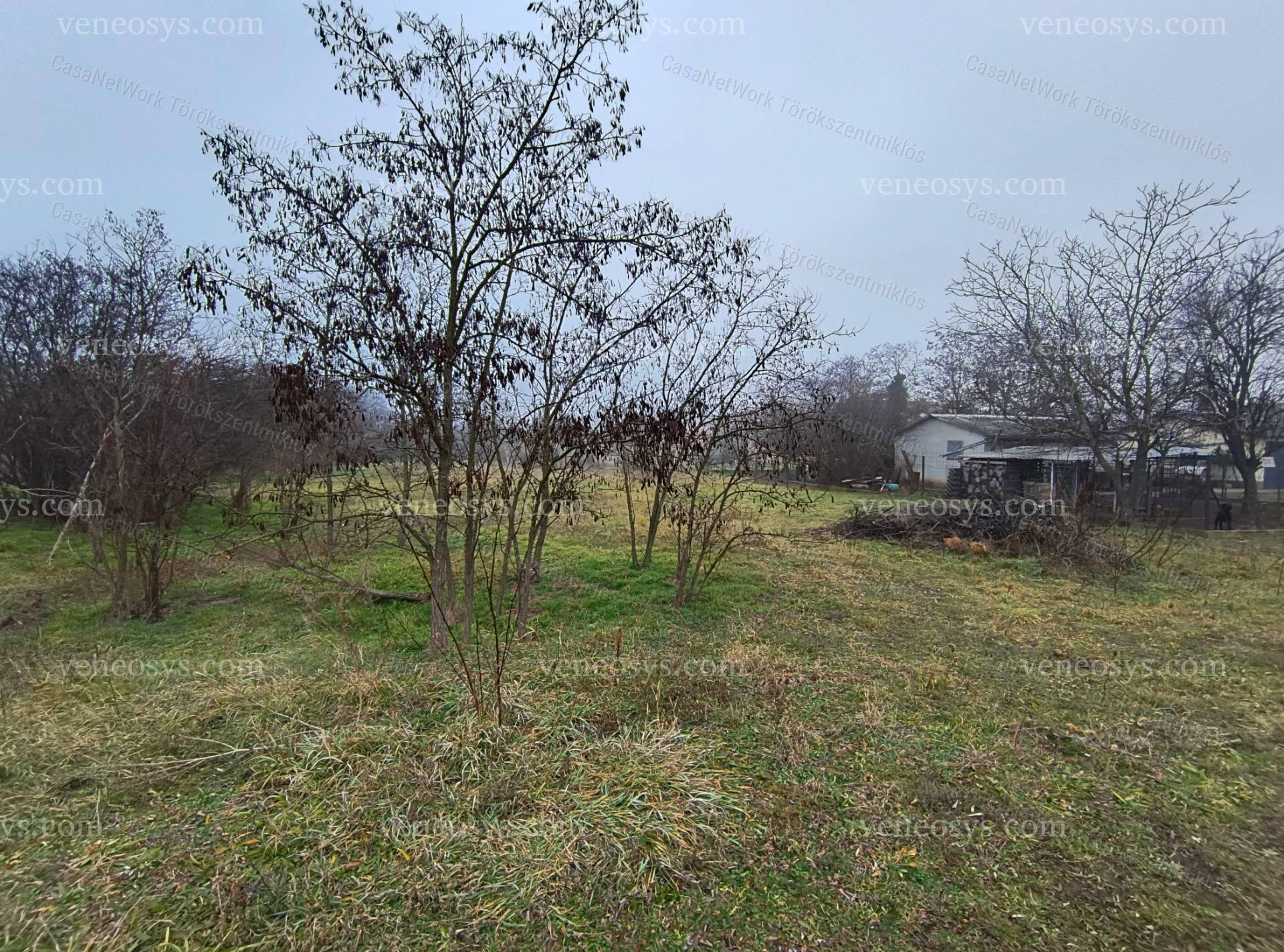 Kép 4