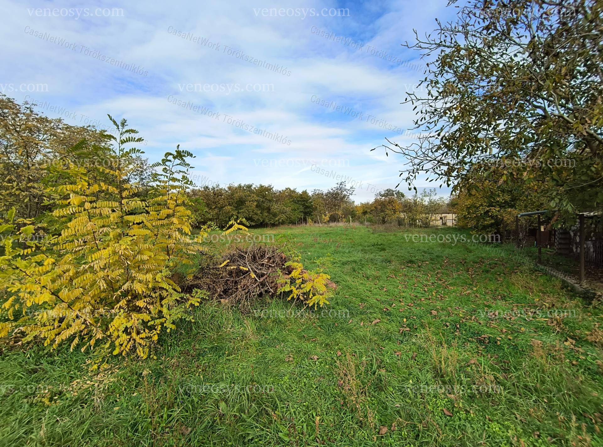 Kengyel