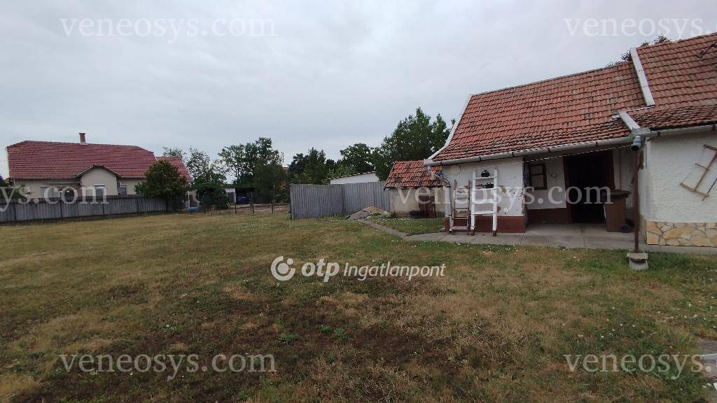 Kép 10