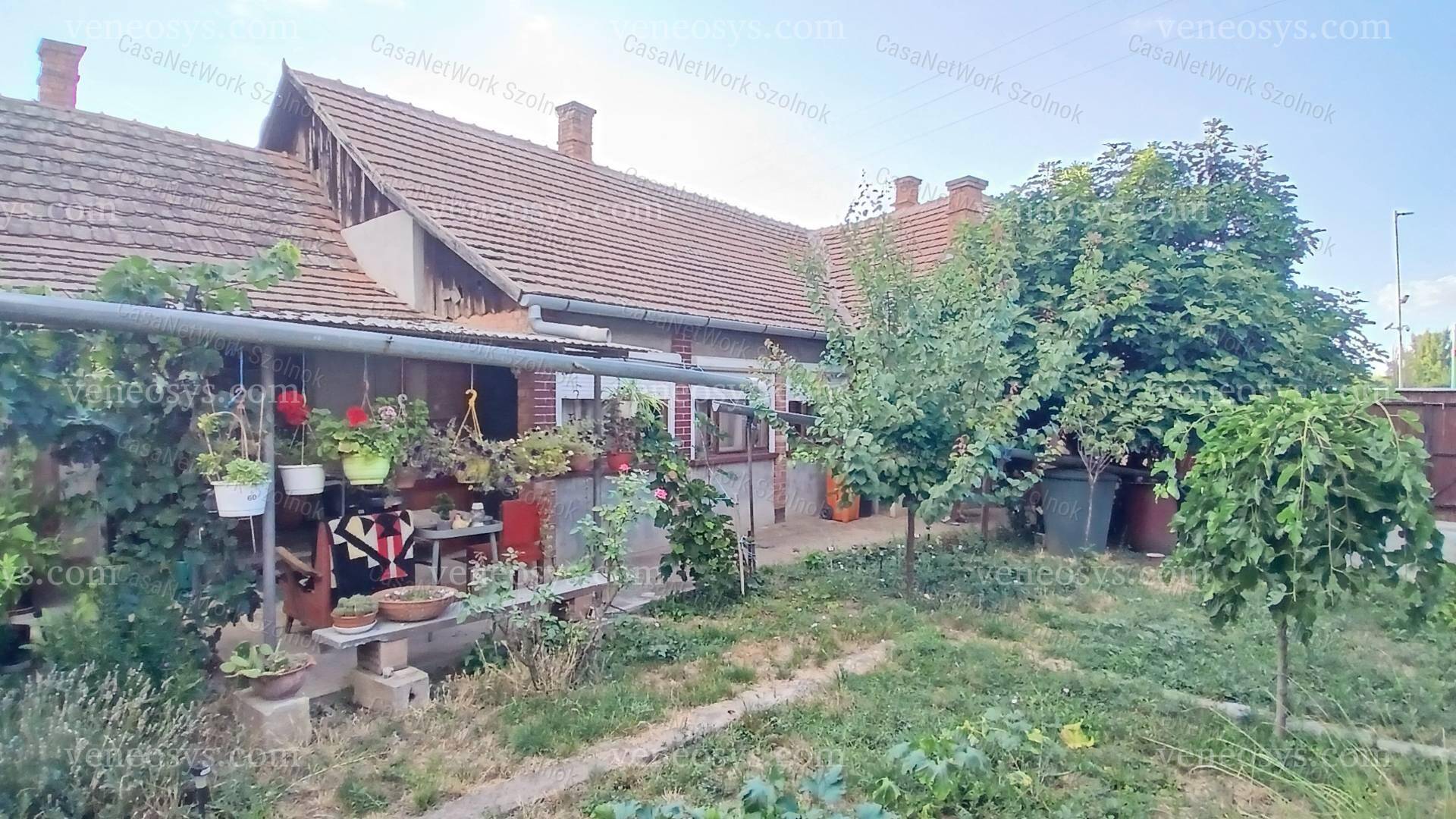 Kép 6