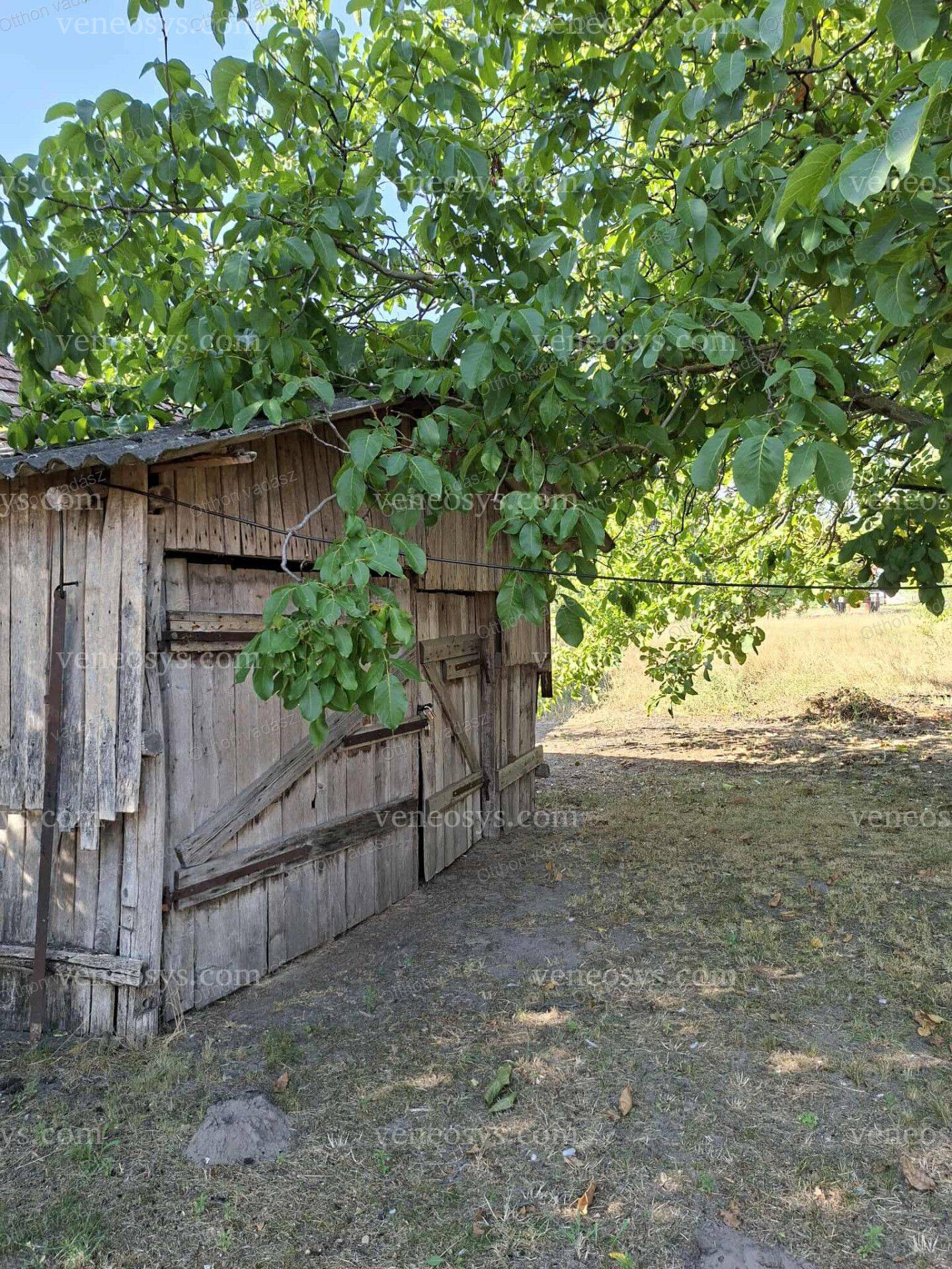 Kép 5