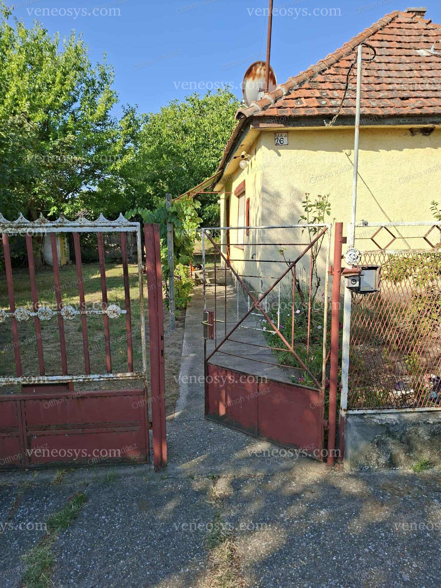 Kép 2