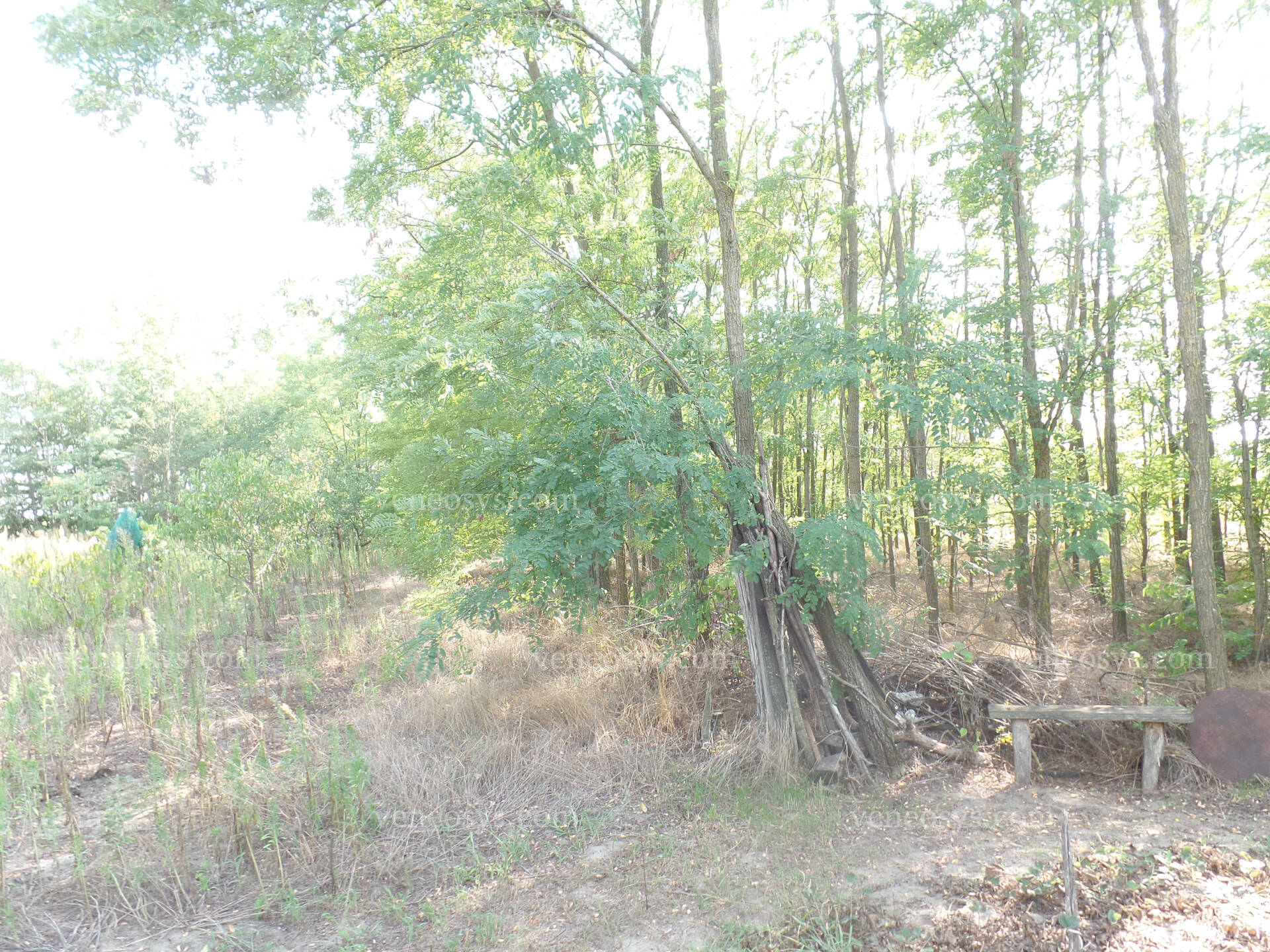 Kép 27