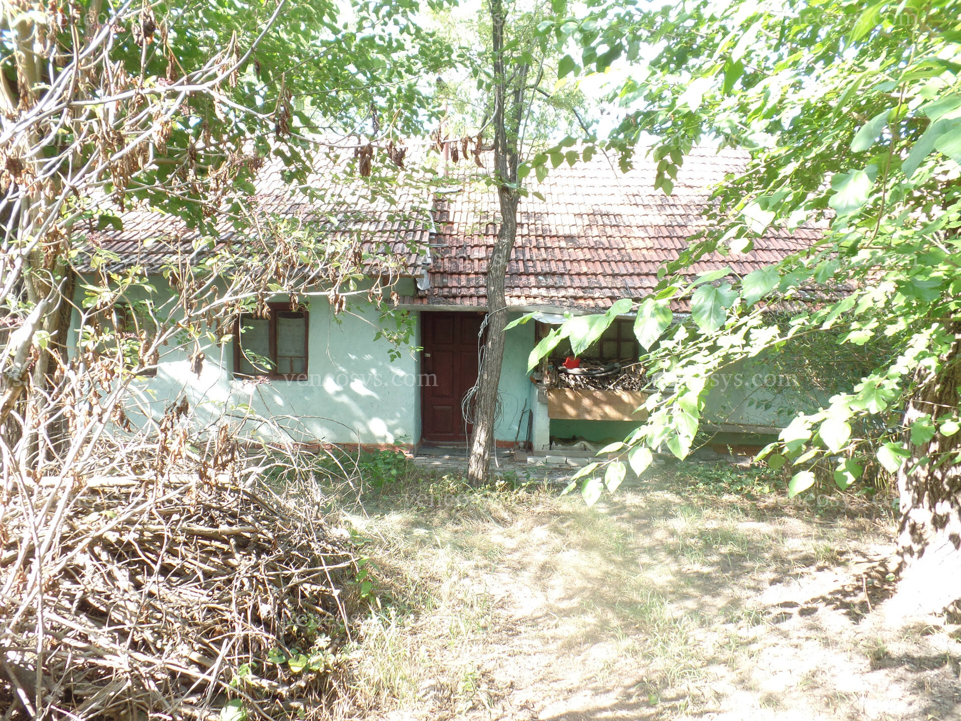 Kép 10