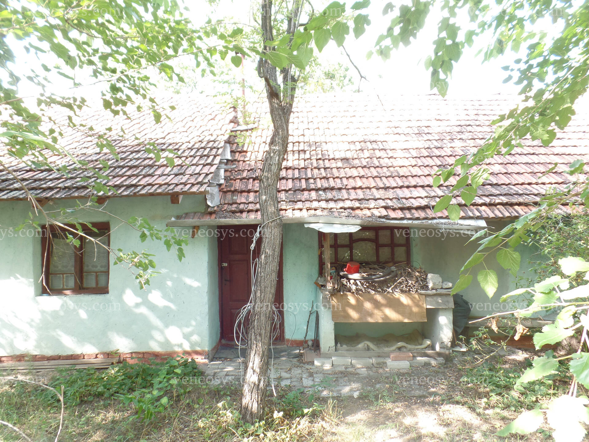 Kép 5
