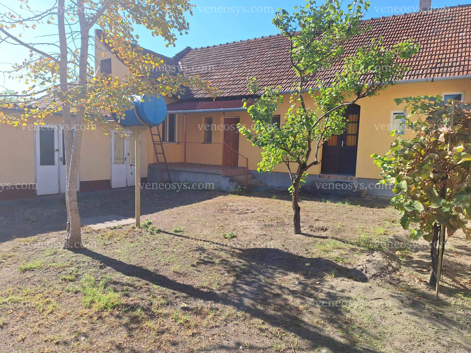 Kép 5