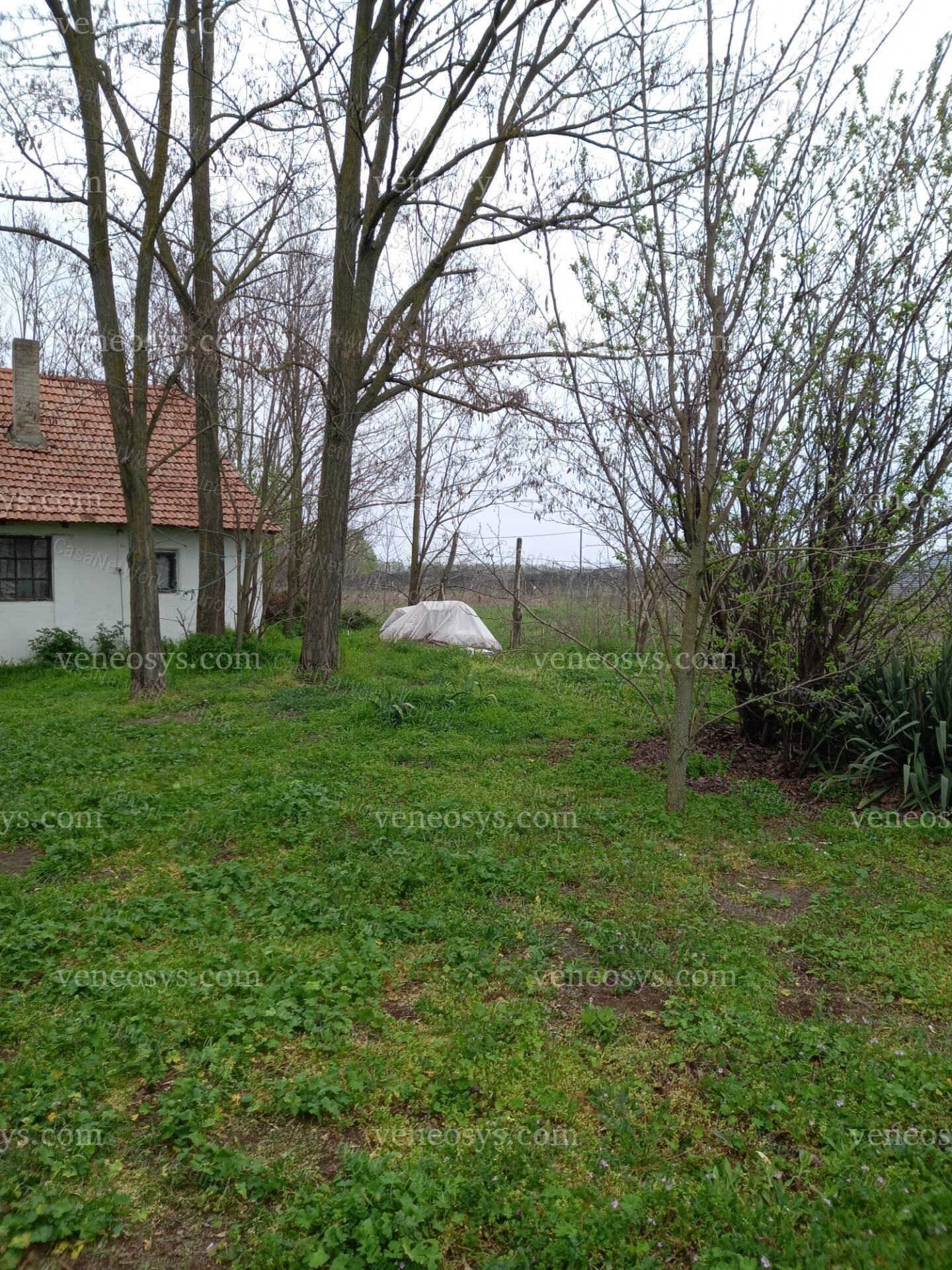 Kép 9