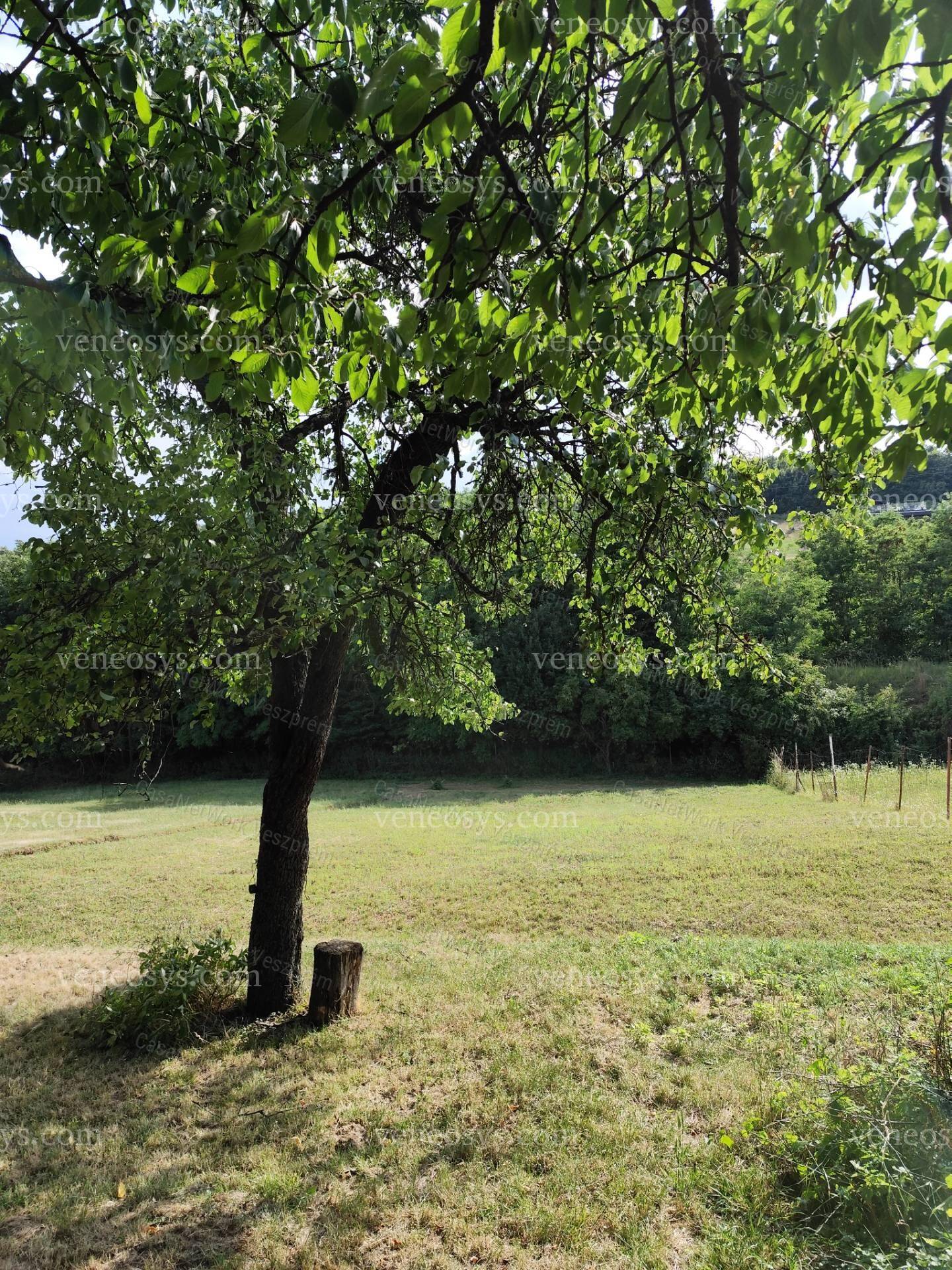 Kép 21